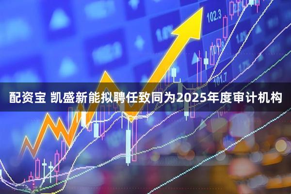 配资宝 凯盛新能拟聘任致同为2025年度审计机构