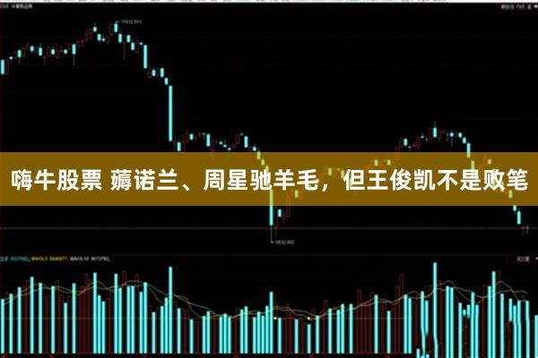 嗨牛股票 薅诺兰、周星驰羊毛，但王俊凯不是败笔